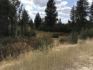 There is a Pond at the Back of the Property