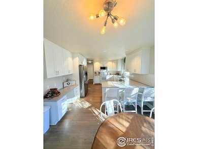 1460 Hawkridge Rd, Eaton, CO 80615 - photo 7