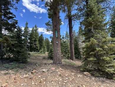 1065 E Redwood Rd, Duck Creek Village, UT 84762 - photo 7