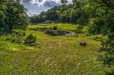 Several picturesque potential BUILDING SITES within this Cozy Cove area as well as in the beautiful surrounding wooded hillsides.