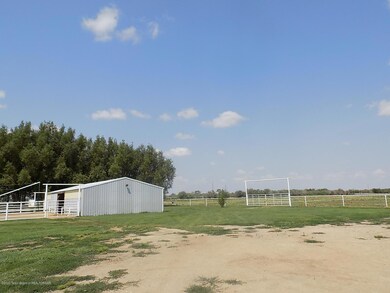 DSCN0408