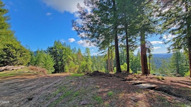 12301 Docker Hill Rd, Comptche, CA 95427 - photo 2