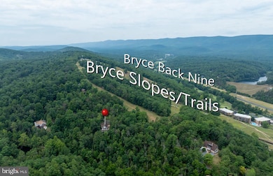 459 N Aspen Way, Basye, VA 22810 - photo 2