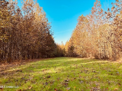 0 Mayer Rd, Bentonia, MS 39040 - photo 5