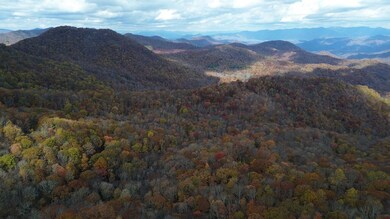 Lt 7 Buck Knob, Cullowhee, NC 28723 - photo 7