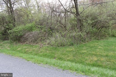 46 Ski Run Trail, Carroll Valley, PA 17320 - photo 3