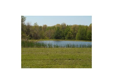 Pond that sits between front of home and Middle Ro