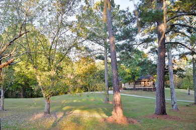 288 Beatrice Ct NE, Ranger, GA 30734 - photo 4