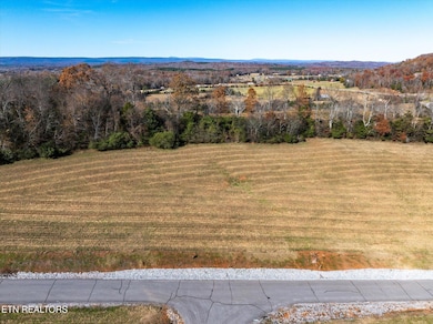 Lot 65 the Gates Dr, Decatur, TN 37322 - photo 3