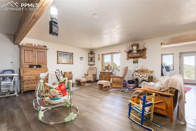 345 Dead Mule Ln, Westcliffe, CO 81252 - photo 4