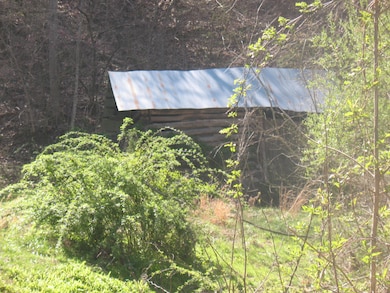 1391 Long Branch Rd, Oneida, KY 40972 - photo 5