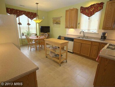 6788 Arthur Hills Dr, Gainesville, VA 20155 - photo 5