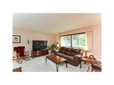 Living Room. Neutral carpet, large window to let n