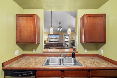 Kitchen opening to bar countertop
