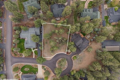Level 0.3 acre lot