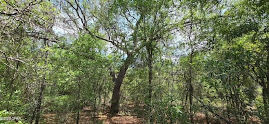 Lot 18 Fusion Cir, Chipley, FL 32428 - photo 3