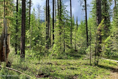 8 Beautiful Acres