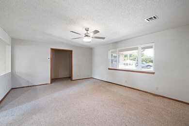 410 N Roney St, Carl Junction, MO 64834 - photo 4