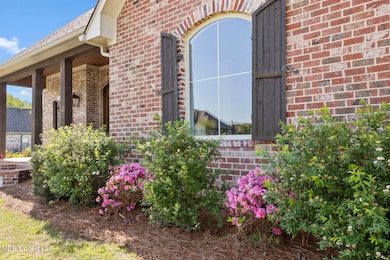 127 Bonne Vie Dr, Brandon, MS 39047 - photo 4