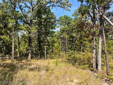 Tract 8 River Rd, Whitesboro, OK 74577 - photo 2