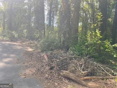 0 Mckay Dr SE unit 10615843, Atlanta, GA 30315 - photo 3