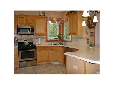 420 Walnut Ridge Trail, Aurora, OH 44202 - photo 4