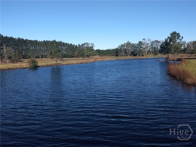680 Porter's Landing Rd unit LOT 1, Clyo, GA 31303 - photo 4