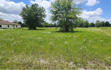 0 Mandiba Dr unit 104635, Lake City, FL 32024 - photo 2