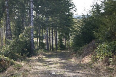 0 M.P. 62 U S 101, Raymond, WA 98577 - photo 4