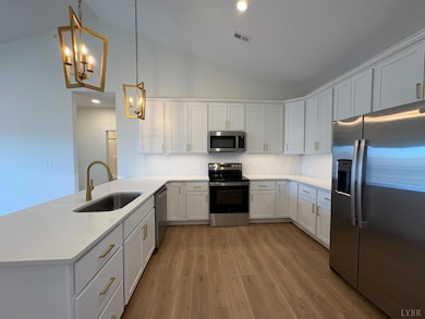 420 Capstone Dr unit 306, Lynchburg, VA 24502 - photo 4