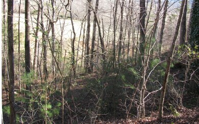 Additional View
