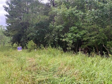 00 Tob Wilson Rd, Franklinton, LA 70438 - photo 3