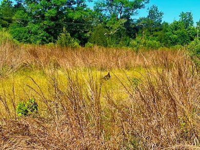 TBD Lewis Ln, Gloster, MS 39638 - photo 6
