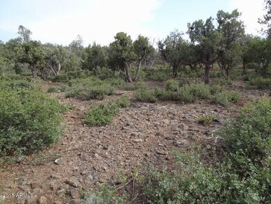 807 E Phoenix St unit 50, Payson, AZ 85541 - photo 6