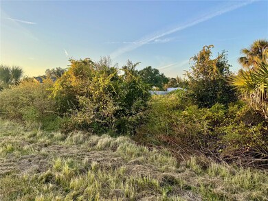 0 Lenape Ln unit MFRA4672706, North Port, FL 34291 - photo 5