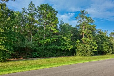 28607 Laurens Landing, Spring, TX 77386 - photo 2
