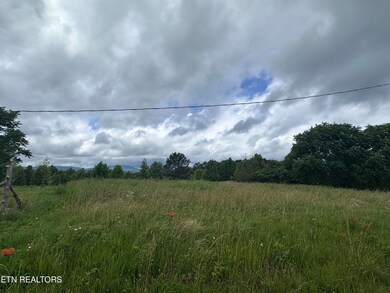 IMG_8582