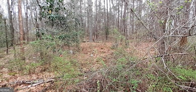 100 Lovelace St, Newnan, GA 30263 - photo 3