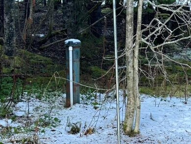 3042 Mendenhall St, Valdez, AK 99686 - photo 4