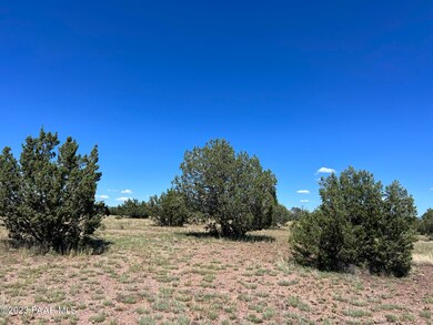 116 Old Route 66, Ash Fork, AZ 86320 - photo 3