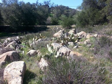 Rock formations and cacti.