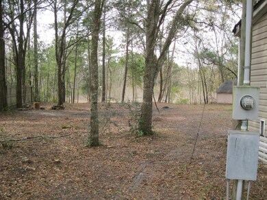 4380 Osceola Trail, Middleburg, FL 32068 - photo 6