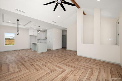 809 Hawk St, Alamo, TX 78516 - photo 3