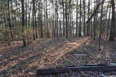 99999 Windamere Dr, Tumbling Shoals, AR 72581 - photo 5