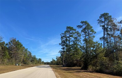 312 Iron Horse Rd, Willis, TX 77358 - photo 4