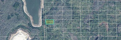 1331 Dill Rd, Bithlo, FL 32820 - photo 3