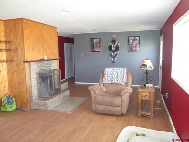 Living room - fireplace