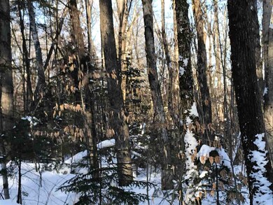 00 Holden Hill Rd unit Lot 1, Weston, VT 05161 - photo 2