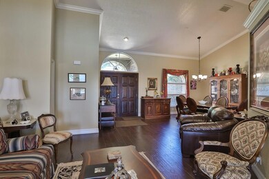 10635 County Road 672, Riverview, FL 33579 - photo 4