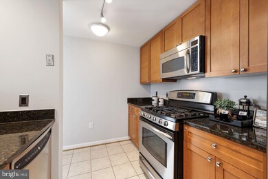 The Crescent unit 410, Silver Spring, MD 20910 - photo 7